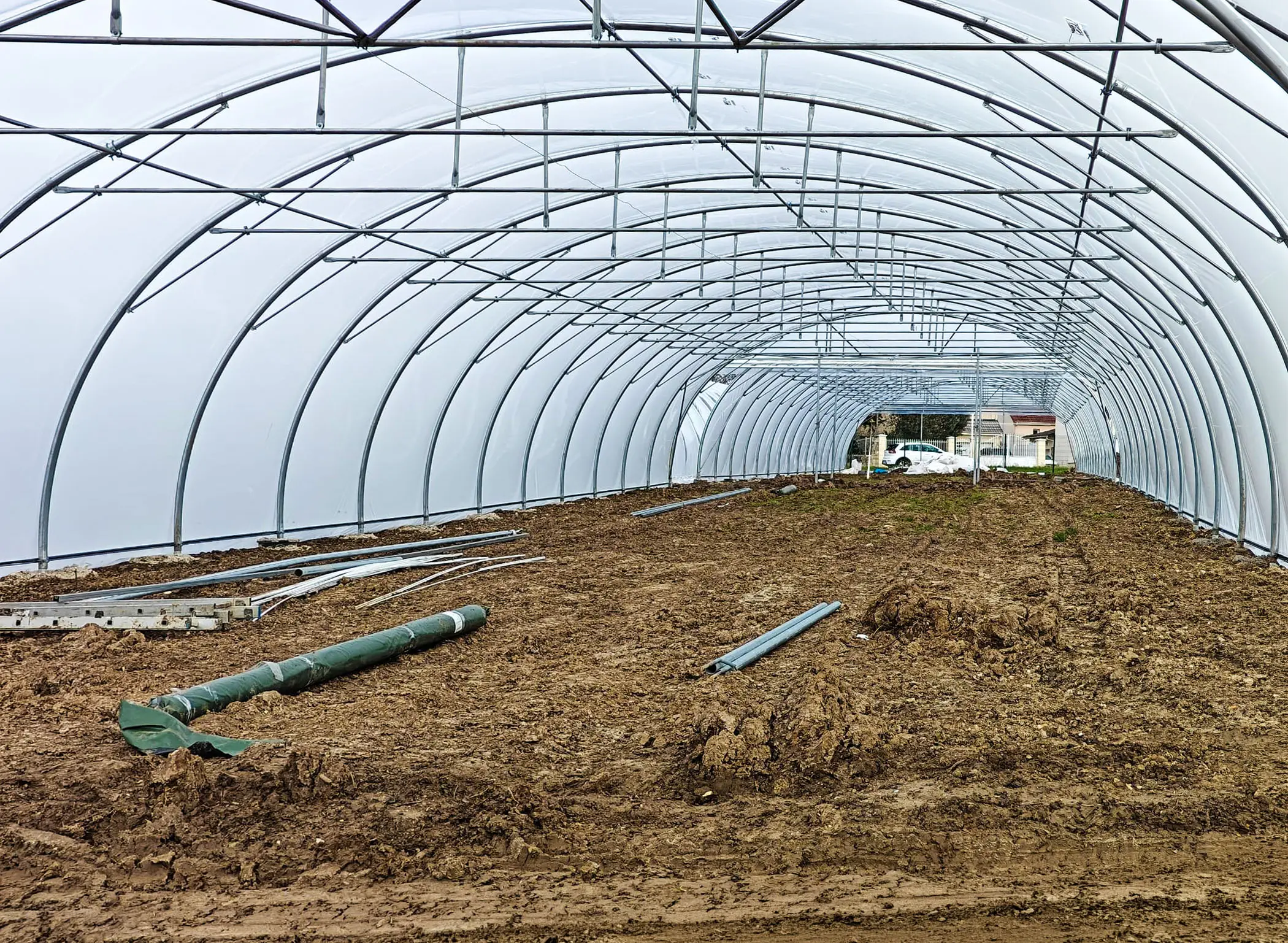 L'intérieur des serres, un tunnel de 60 mètres 